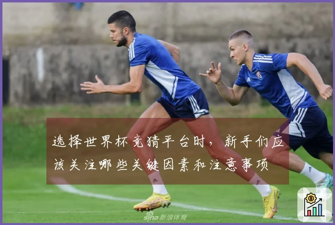 选择世界杯竞猜平台时,新手们应该关注哪些关键因素和注意事项