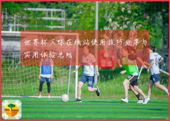 世界杯买球在线站使用技巧分享与实用体验总结