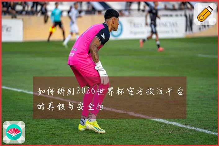如何辨别2026世界杯官方投注平台的真假与安全性