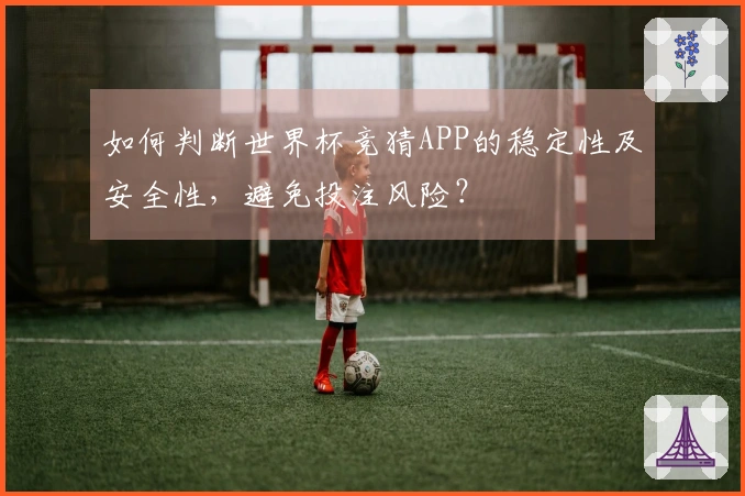如何判断世界杯竞猜APP的稳定性及安全性,避免投注风险?