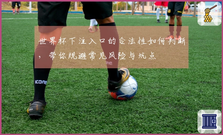 世界杯下注入口的合法性如何判断，带你规避常见风险与坑点