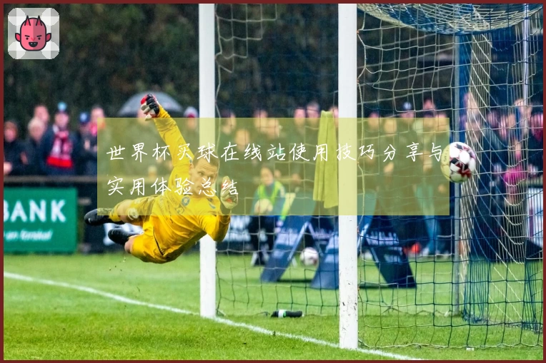 世界杯买球在线站使用技巧分享与实用体验总结