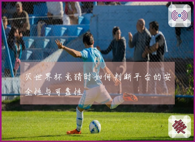 买世界杯竞猜时如何判断平台的安全性与可靠性