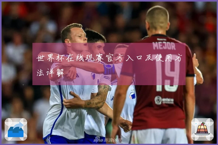 世界杯在线观赛官方入口及使用方法详解