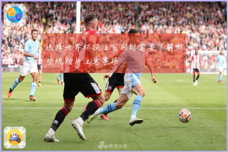 选择世界杯投注官网时需要了解哪些规则与注意事项