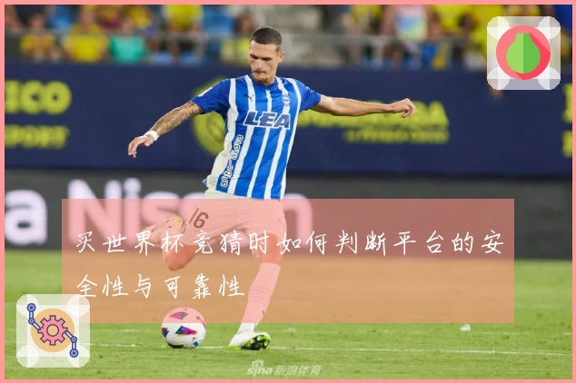 买世界杯竞猜时如何判断平台的安全性与可靠性