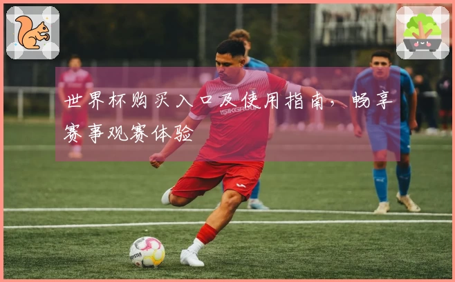 世界杯购买入口及使用指南，畅享赛事观赛体验