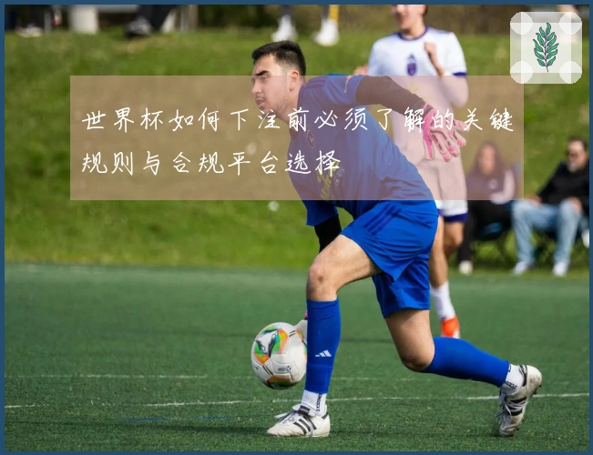 世界杯如何下注前必须了解的关键规则与合规平台选择