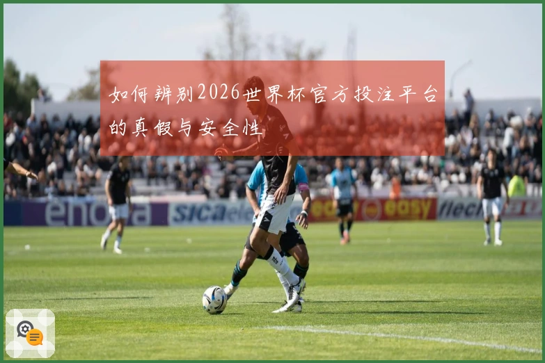 如何辨别2026世界杯官方投注平台的真假与安全性