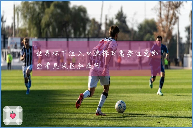 世界杯下注入口选择时需要注意哪些常见误区和技巧