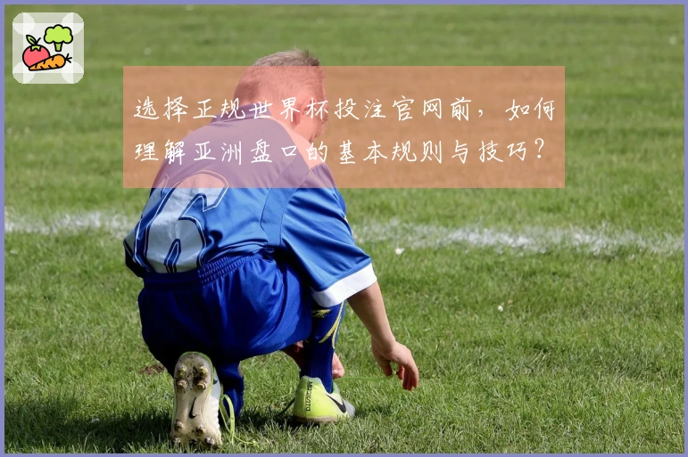 选择正规世界杯投注官网前，如何理解亚洲盘口的基本规则与技巧？