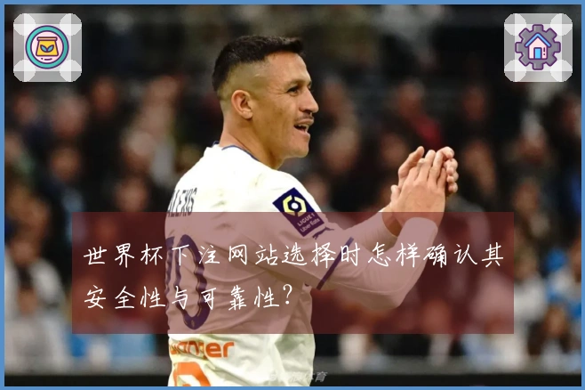 世界杯下注网站选择时怎样确认其安全性与可靠性?
