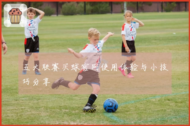五大联赛买球官网使用体验与小技巧分享