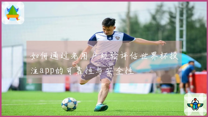 如何通过老用户经验评估世界杯投注app的可靠性与安全性