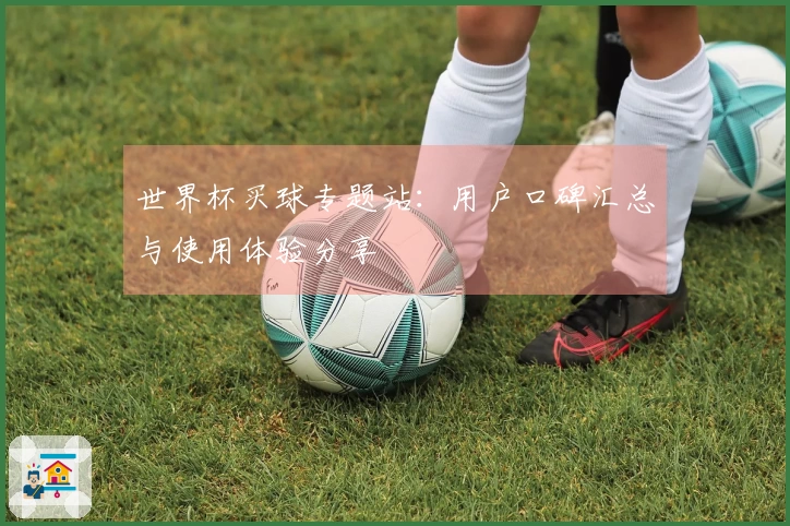 世界杯买球专题站：用户口碑汇总与使用体验分享