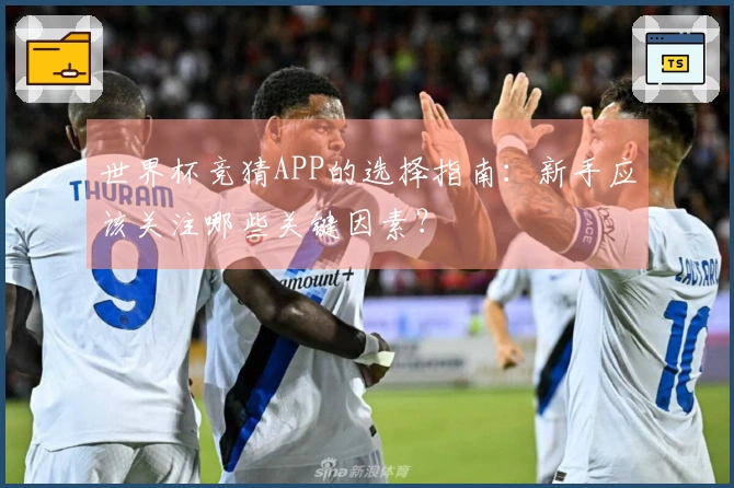 世界杯竞猜APP的选择指南：新手应该关注哪些关键因素？