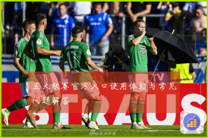 五大联赛官方入口使用体验与常见问题解答