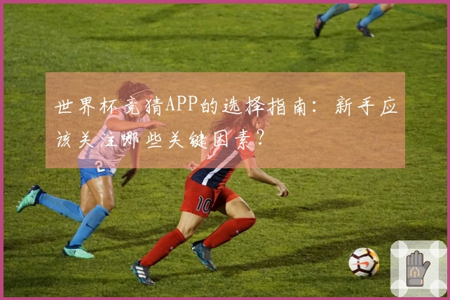 世界杯竞猜APP的选择指南:新手应该关注哪些关键因素?