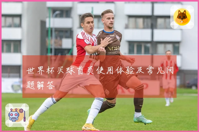 世界杯买球首页使用体验及常见问题解答