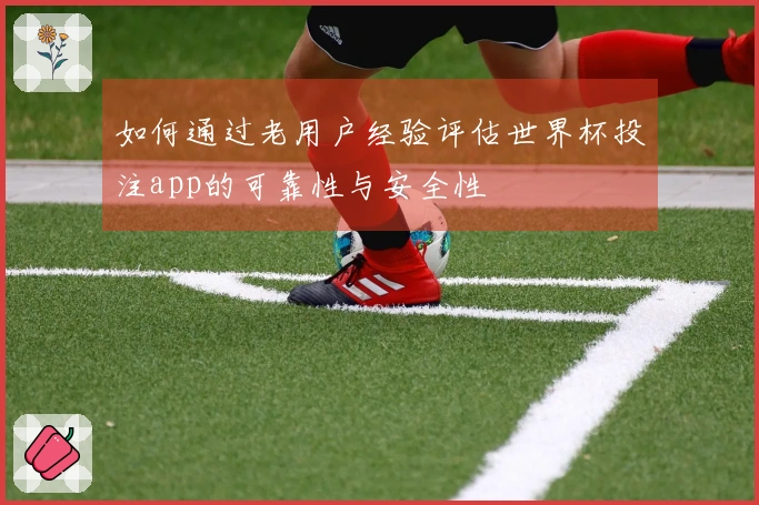 如何通过老用户经验评估世界杯投注app的可靠性与安全性