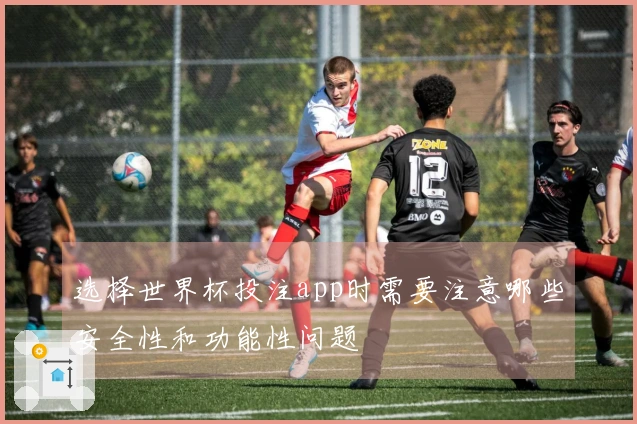 选择世界杯投注app时需要注意哪些安全性和功能性问题