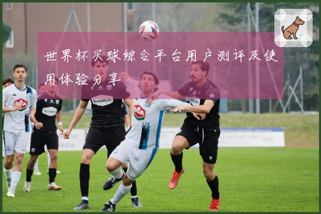 世界杯买球综合平台用户测评及使用体验分享